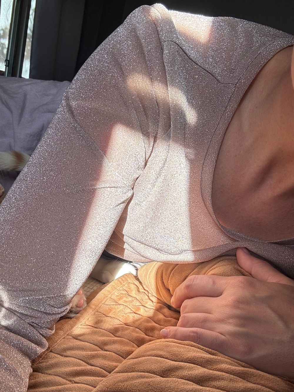 Free People Sheer Long-Sleeve Glitter Top in Blush Pink